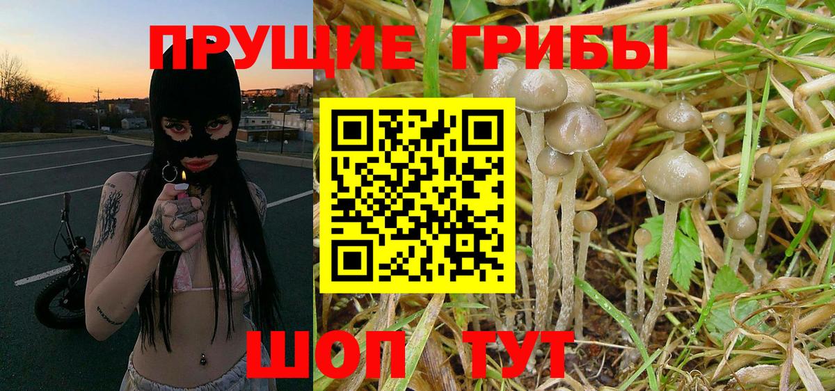 Галлюциногенные грибы ЛСД  что такое   Галлюциногенные грибы MAGIC MUSHROOMS  Новоалтайск  Вход с VPN 