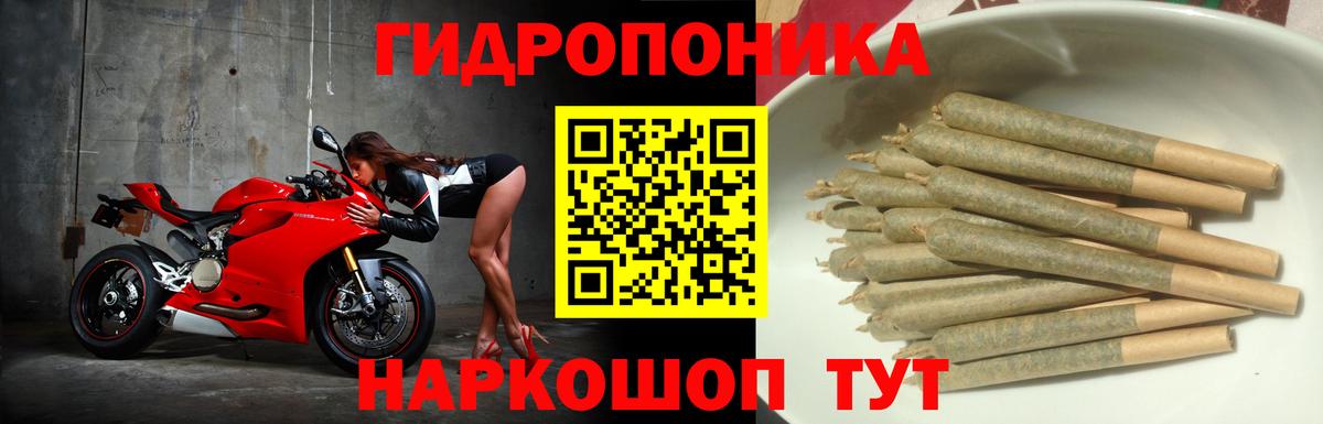 Шишки марихуана марихуана  Вход с VPN  МАРИХУАНА гибрид  Конопля MAZAR  Новоалтайск  Бошки марихуана Ganja 